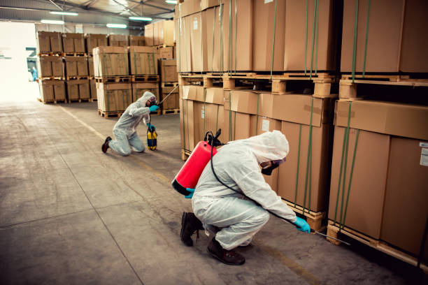 Best Pest Removal Services  in Silver Bay, MN