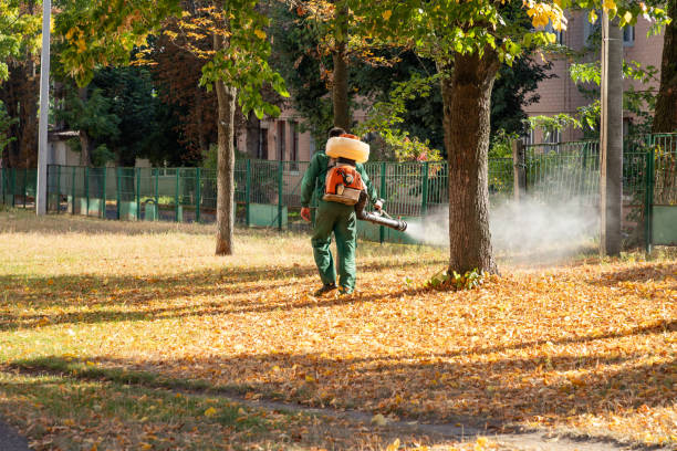 Best Residential Pest Control  in Silver Bay, MN