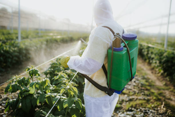 Best Pest Prevention Services  in Silver Bay, MN